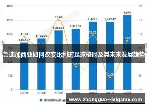 鲁迪加西亚如何改变比利时足球格局及其未来发展趋势