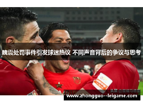 魏震处罚事件引发球迷热议 不同声音背后的争议与思考